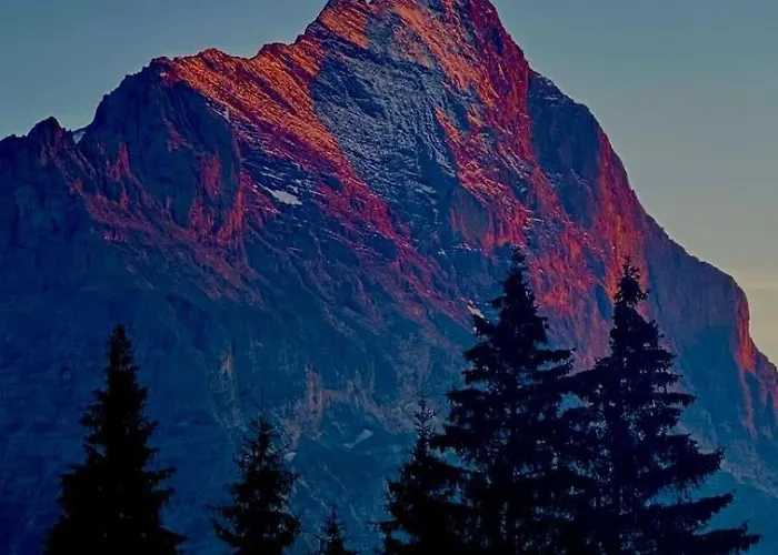 Beautiful 2 In A Location *