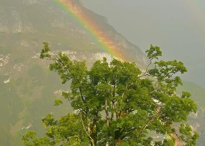 Beautiful 2 In A Location דירה